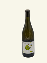 Lade das Bild in den Galerie-Viewer, Moritz Kissinger - Weissburgunder 2022
