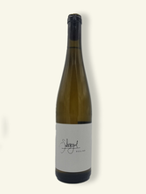 Lade das Bild in den Galerie-Viewer, Schregel - Riesling 2022