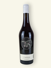 Lade das Bild in den Galerie-Viewer, Johannes Zillinger - Revolution Solera pink