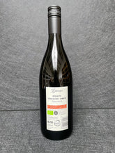 Lade das Bild in den Galerie-Viewer, Herbert Zillinger - Foxy Grüner Veltliner 2022
